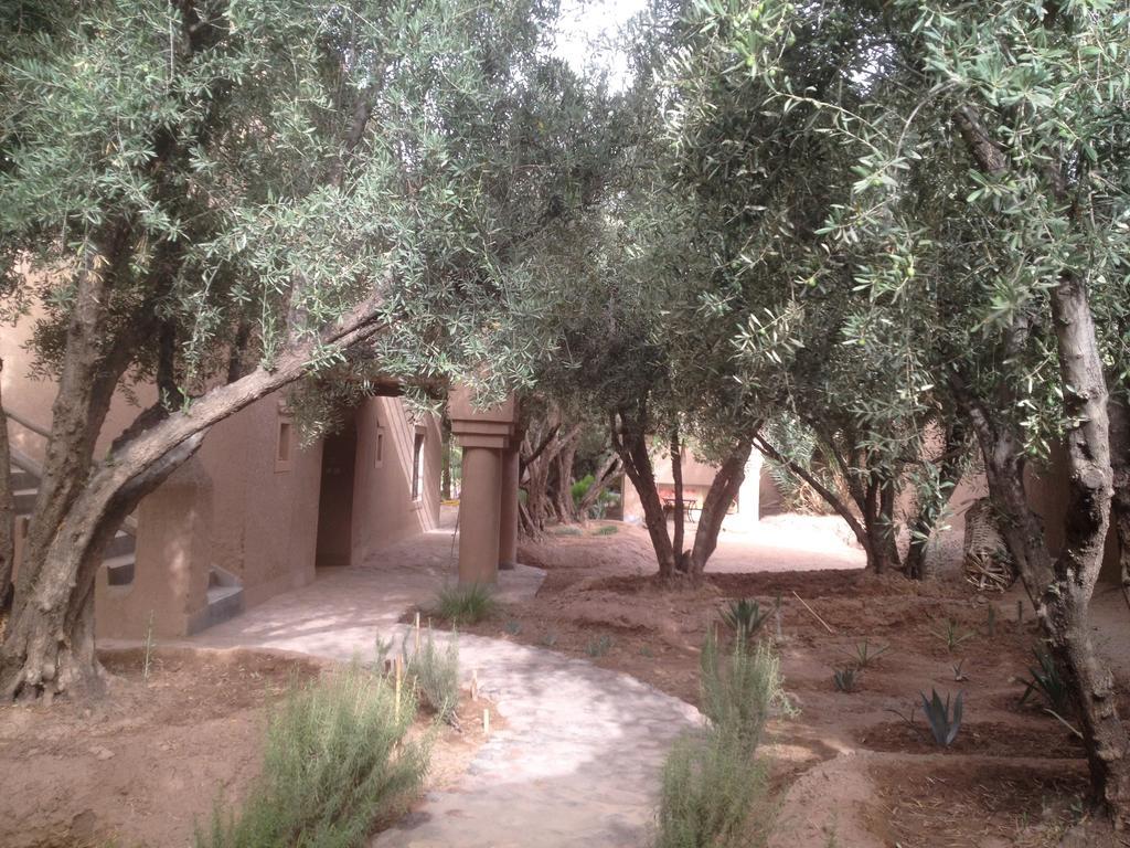 Dar Lorkam Bed and Breakfast Skoura Εξωτερικό φωτογραφία