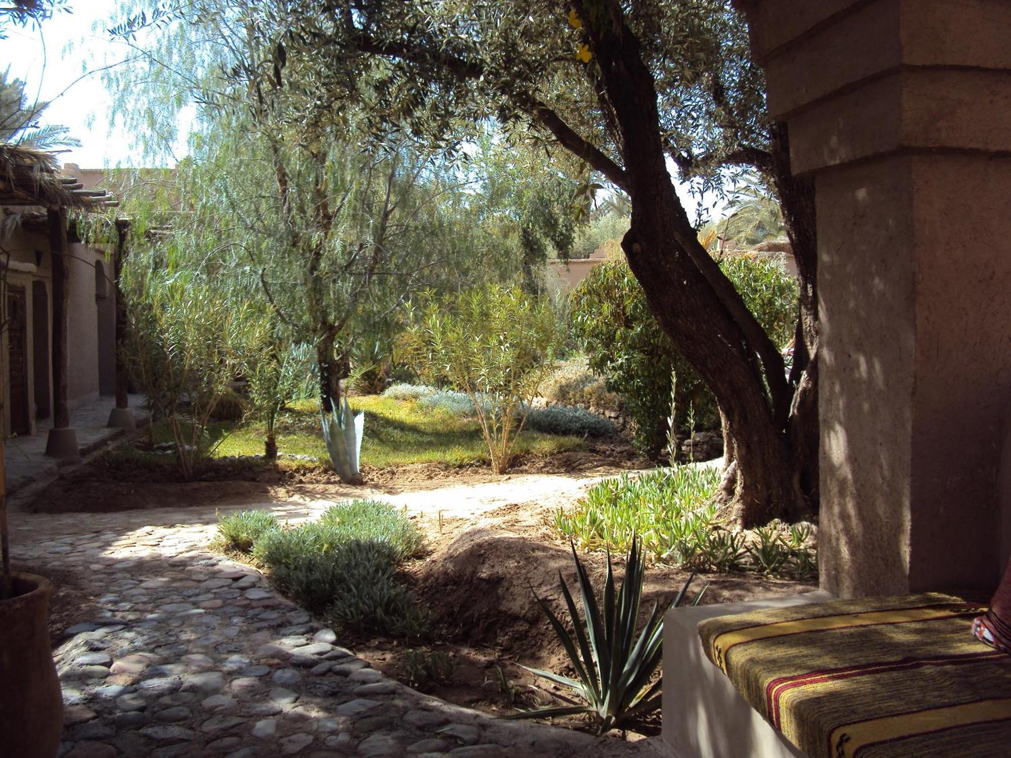 Dar Lorkam Bed and Breakfast Skoura Εξωτερικό φωτογραφία