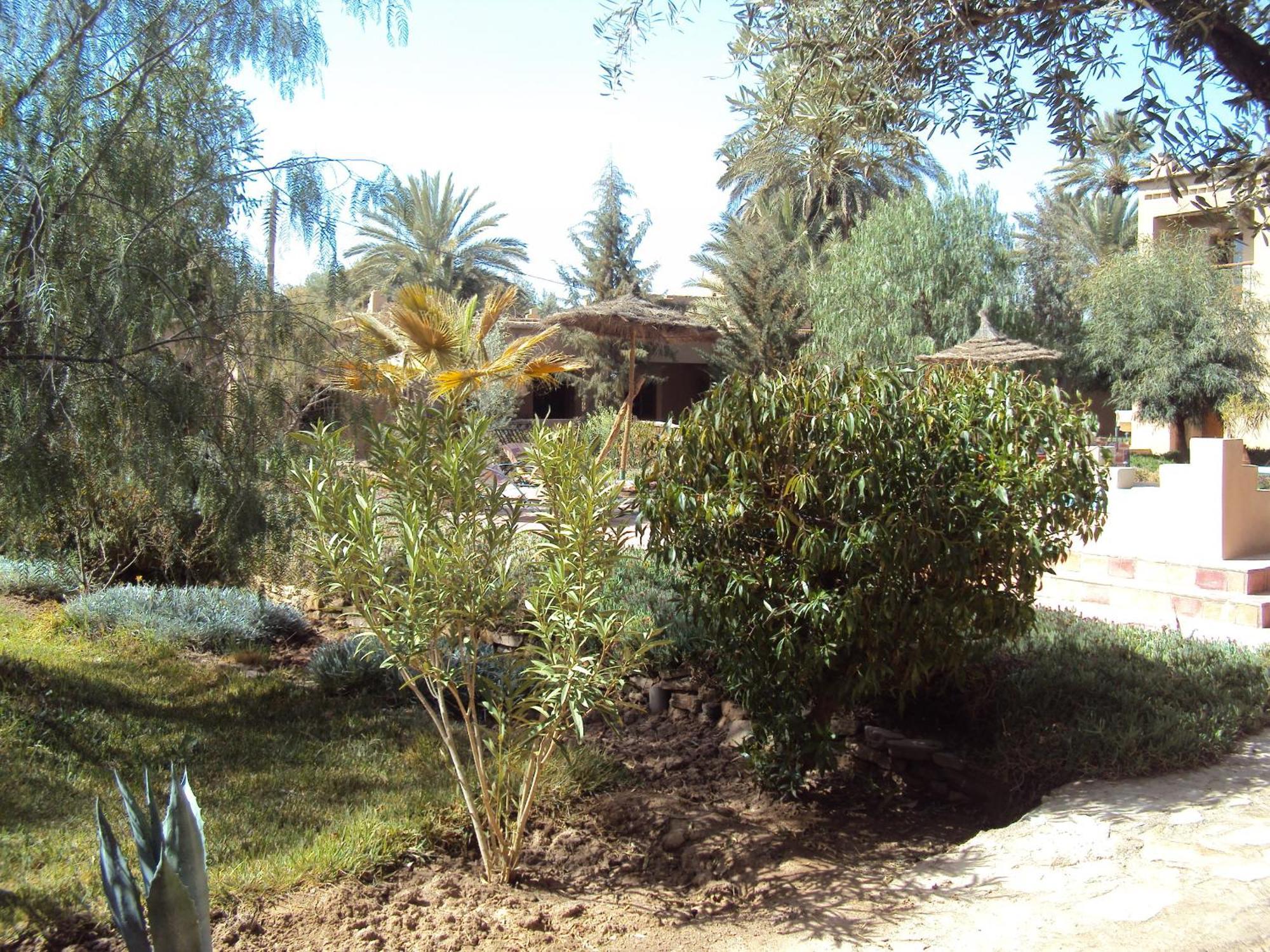 Dar Lorkam Bed and Breakfast Skoura Εξωτερικό φωτογραφία