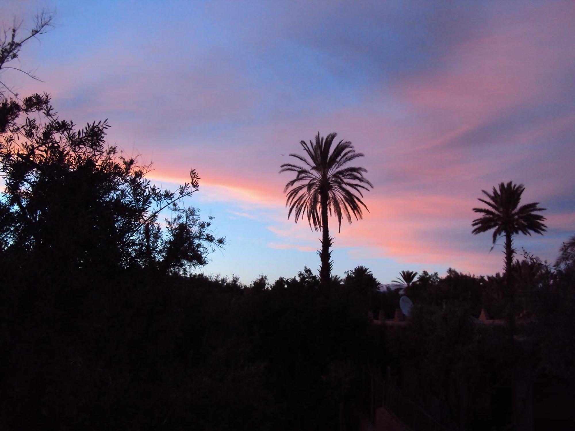 Dar Lorkam Bed and Breakfast Skoura Εξωτερικό φωτογραφία