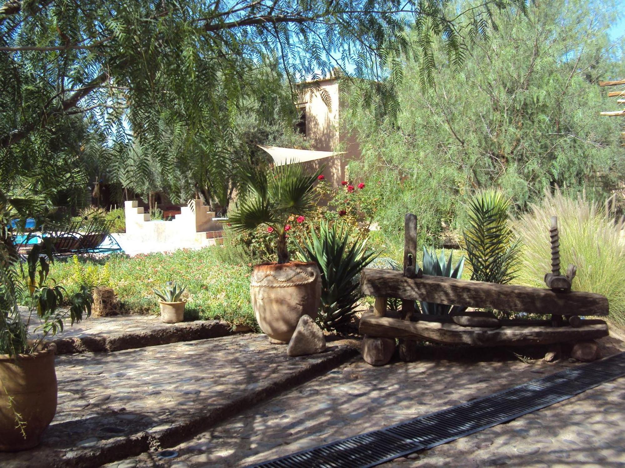 Dar Lorkam Bed and Breakfast Skoura Εξωτερικό φωτογραφία