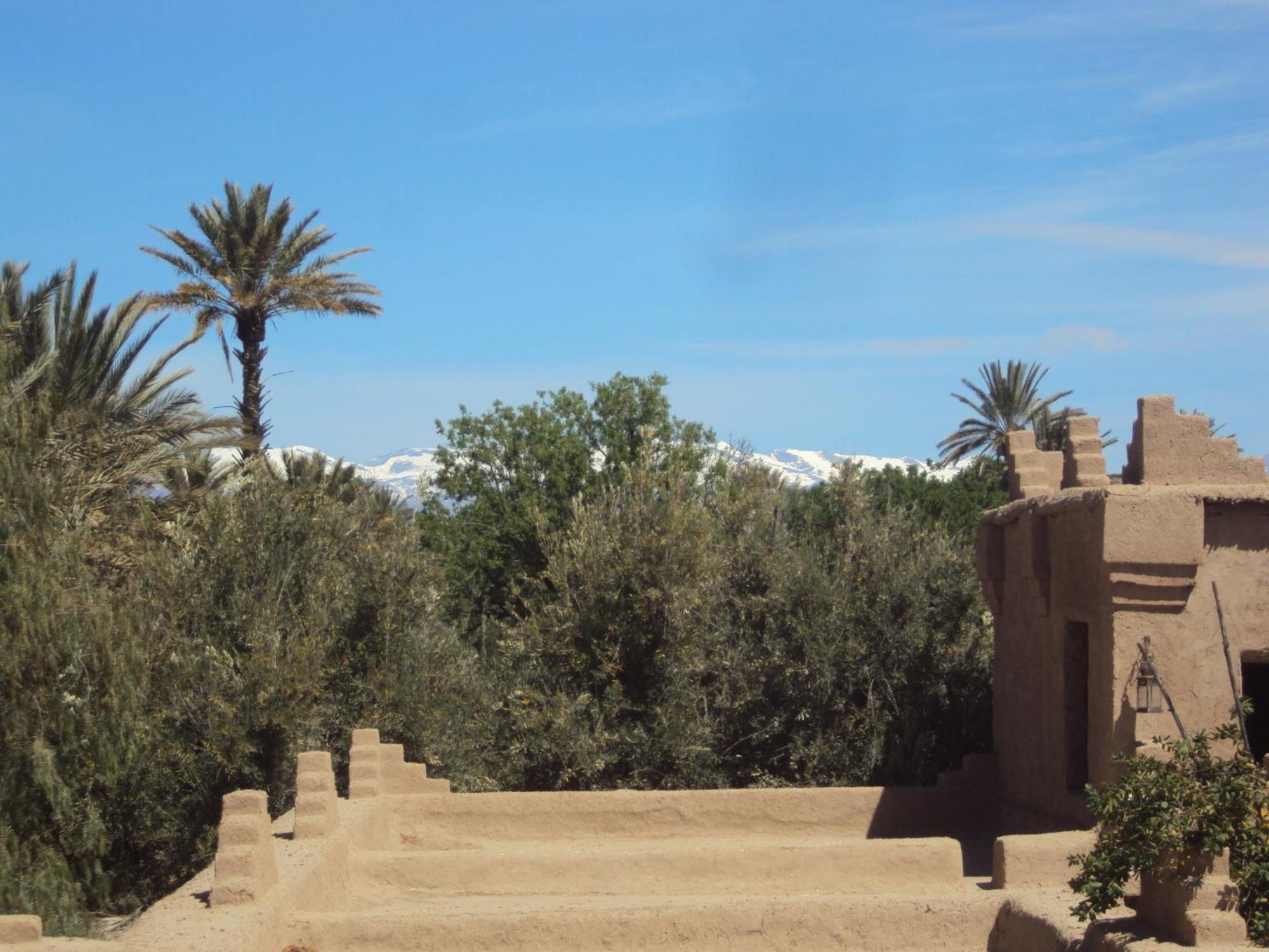 Dar Lorkam Bed and Breakfast Skoura Δωμάτιο φωτογραφία