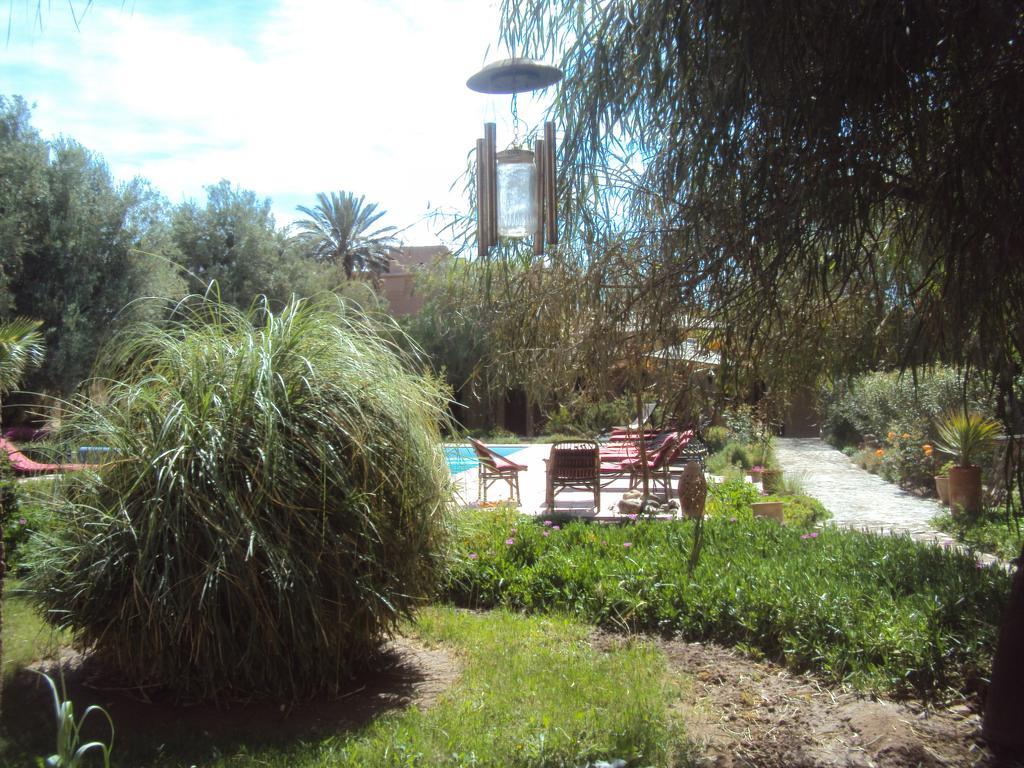 Dar Lorkam Bed and Breakfast Skoura Εξωτερικό φωτογραφία