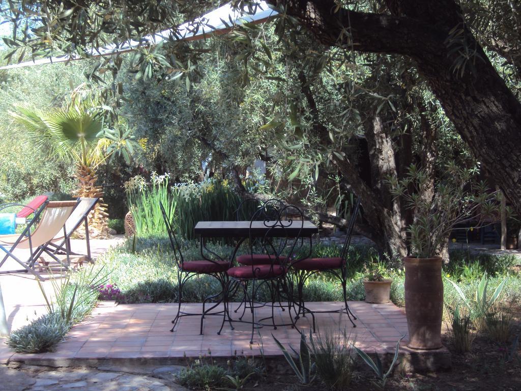 Dar Lorkam Bed and Breakfast Skoura Εξωτερικό φωτογραφία