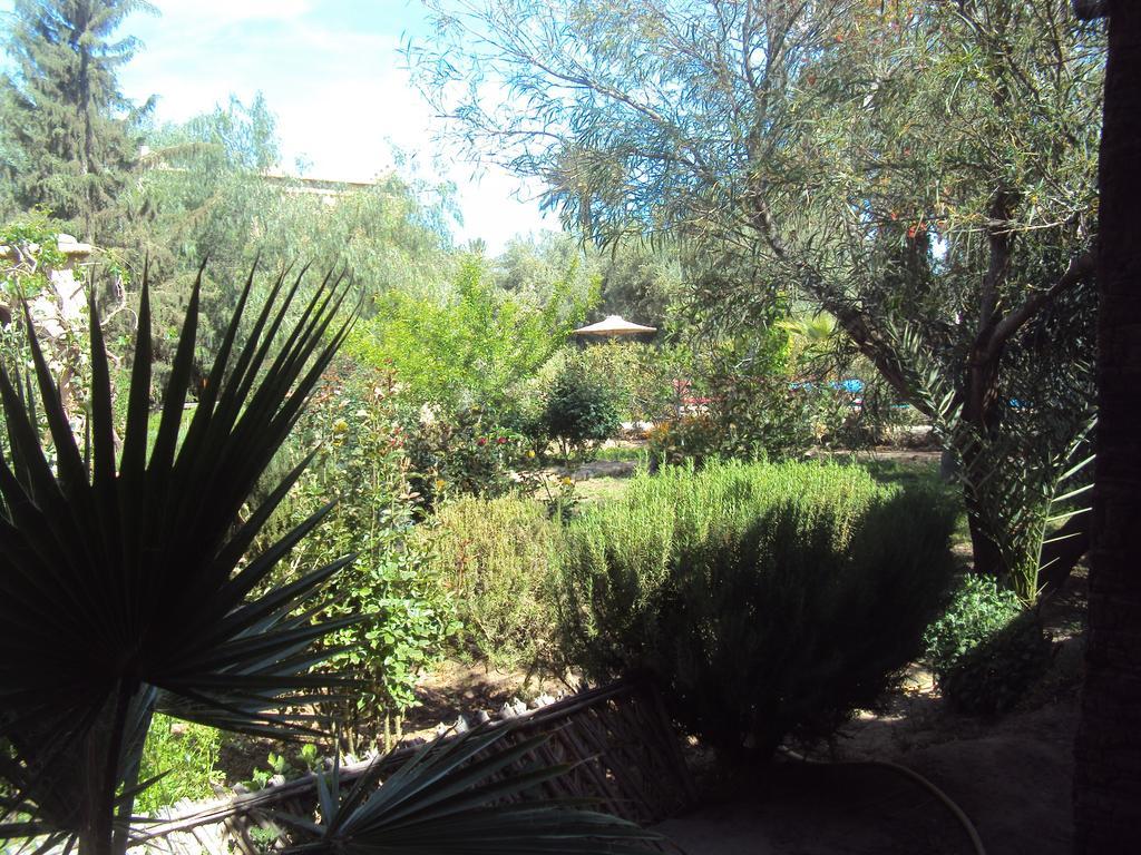 Dar Lorkam Bed and Breakfast Skoura Εξωτερικό φωτογραφία