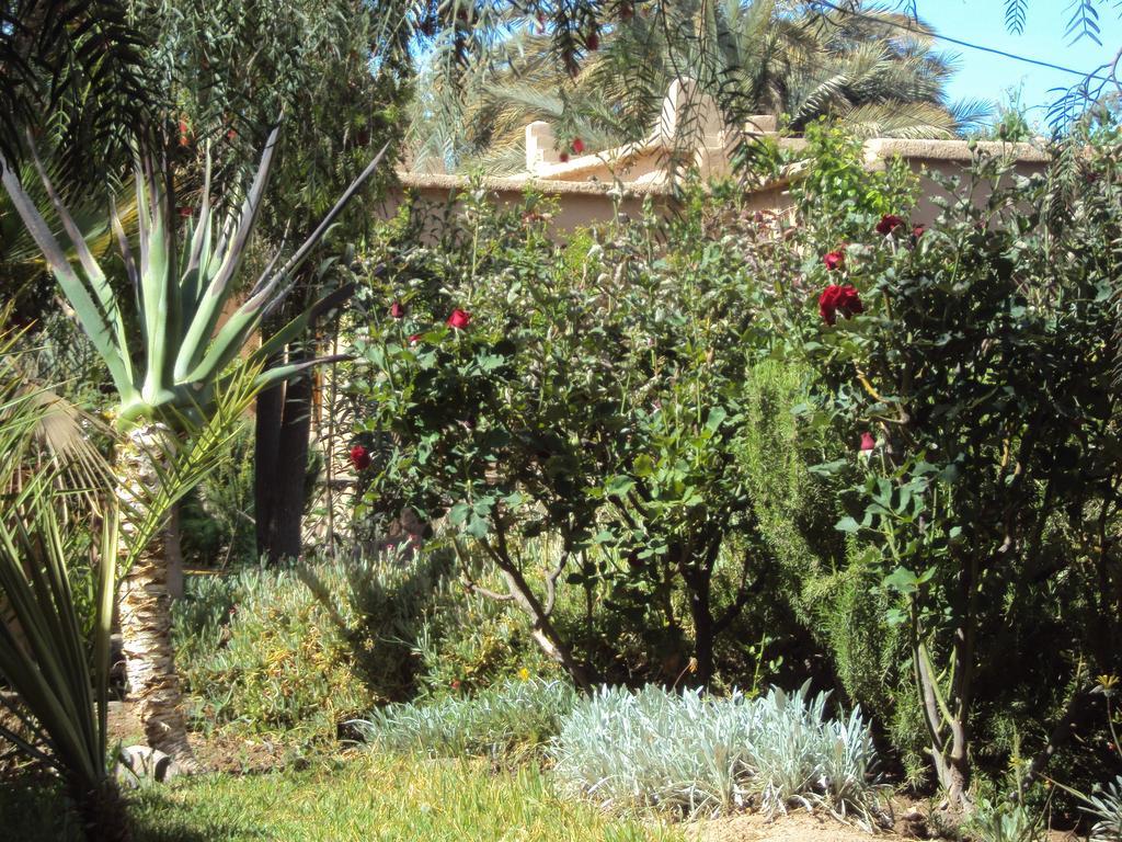 Dar Lorkam Bed and Breakfast Skoura Εξωτερικό φωτογραφία