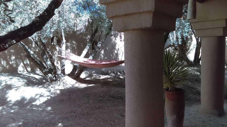 Dar Lorkam Bed and Breakfast Skoura Εξωτερικό φωτογραφία