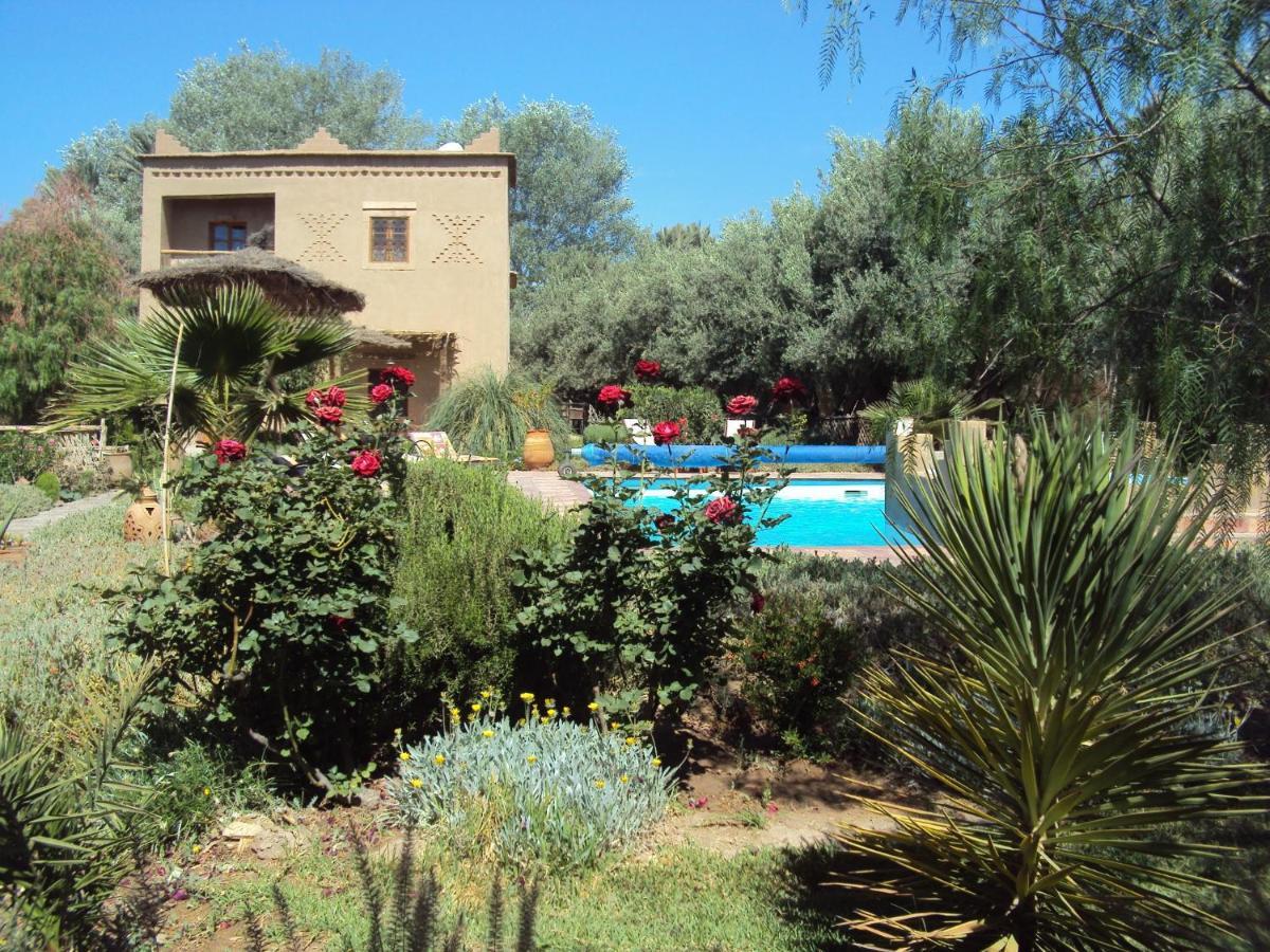 Dar Lorkam Bed and Breakfast Skoura Εξωτερικό φωτογραφία