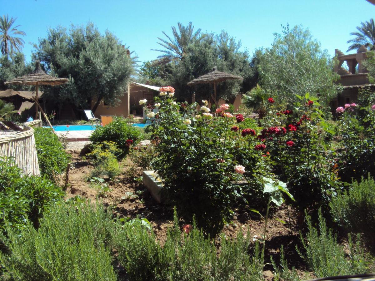 Dar Lorkam Bed and Breakfast Skoura Εξωτερικό φωτογραφία