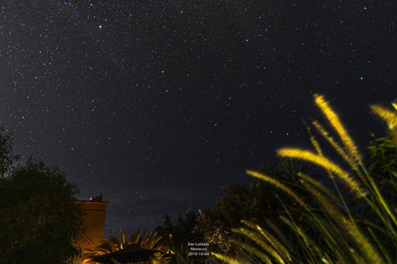 Dar Lorkam Bed and Breakfast Skoura Εξωτερικό φωτογραφία